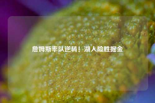 詹姆斯率队逆转！湖人险胜掘金