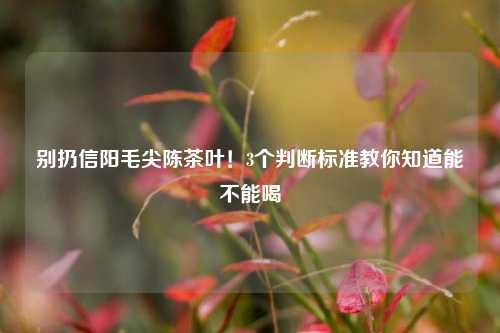 别扔信阳毛尖陈茶叶！3个判断标准教你知道能不能喝