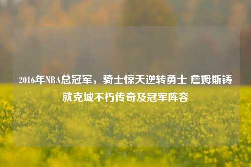 2016年NBA总冠军,骑士惊天逆转勇士 詹姆斯铸就克城不朽传奇及冠军阵容