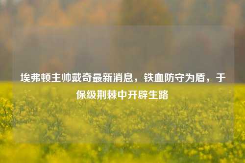 埃弗顿主帅戴奇最新消息，铁血防守为盾，于保级荆棘中开辟生路