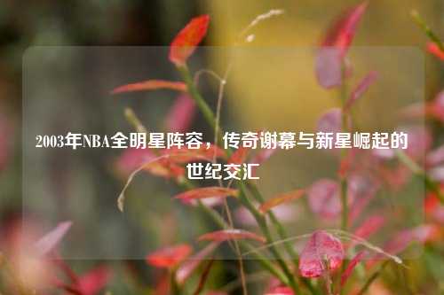 2003年NBA全明星阵容，传奇谢幕与新星崛起的世纪交汇