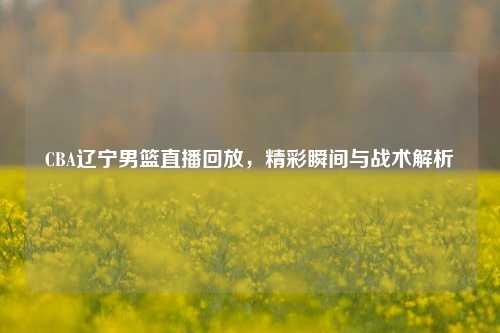 CBA辽宁男篮直播回放，精彩瞬间与战术解析