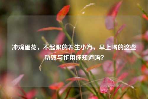 冲鸡蛋花，不起眼的养生小方，早上喝的这些功效与作用你知道吗？