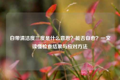 白带清洁度三度是什么意思？能否自愈？一文读懂检查结果与应对     