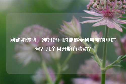 胎动初体验，准妈妈何时能感受到宝宝的小信号？几个月开始有胎动？