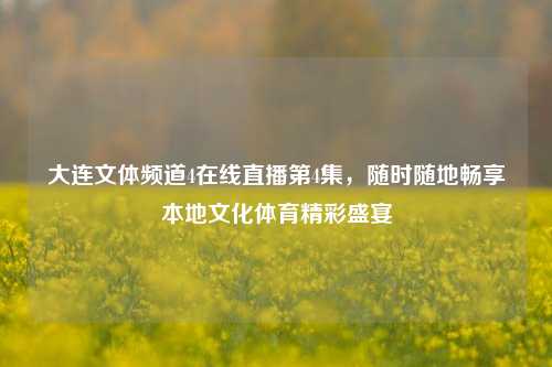 大连文体频道4在线直播第4集，随时随地畅享本地文化体育精彩盛宴