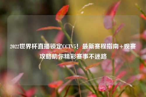 2022世界杯直播锁定CCTV5！最新赛程指南+观赛攻略助你精彩赛事不迷路