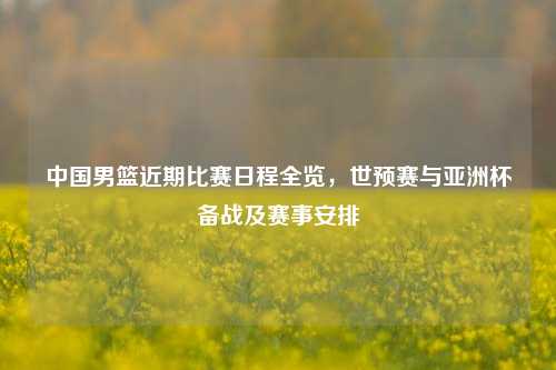 中国男篮近期比赛日程全览，世预赛与亚洲杯备战及赛事安排