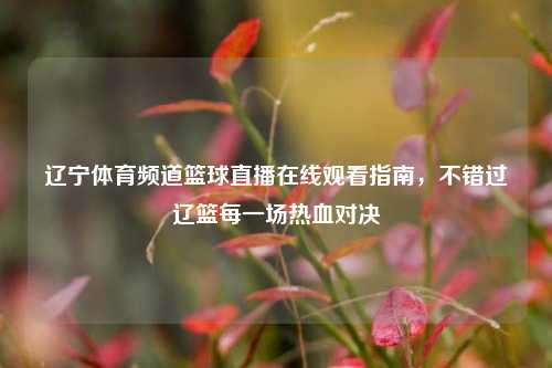 辽宁体育频道篮球直播在线观看指南，不错过辽篮每一场热血对决