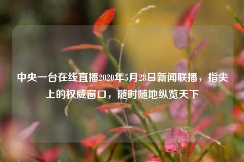 中央一台在线直播2020年5月28日新闻联播，指尖上的权威窗口，随时随地纵览天下