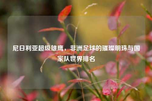 尼日利亚超级雄鹰，非洲足球的璀璨明珠与国家队世界排名