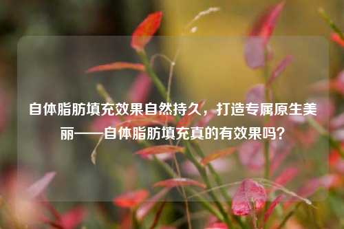 自体脂肪填充效果自然持久，打造专属原生美丽——自体脂肪填充真的有效果吗？