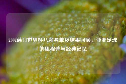 2002韩日世界杯八强名单及结果回顾，亚洲足球的里程碑与经典记忆