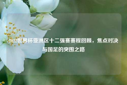2022世界杯亚洲区十二强赛赛程回顾，焦点对决与国足的突围之路