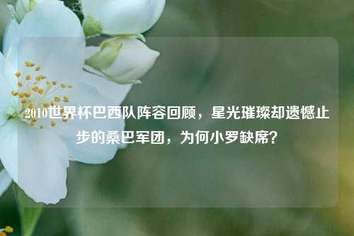 2010世界杯巴西队阵容回顾，星光璀璨却遗憾止步的桑巴军团，为何小罗缺席？