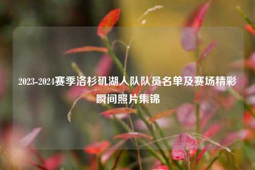 2023-2024赛季洛杉矶湖人队队员名单及赛场精彩瞬间照片集锦