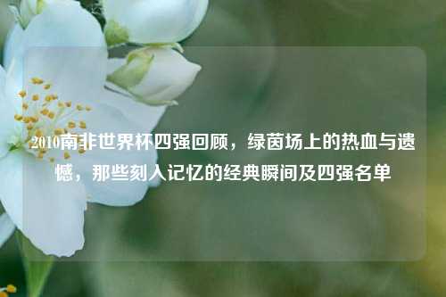 2010南非世界杯四强回顾，绿茵场上的热血与遗憾，那些刻入记忆的经典瞬间及四强名单