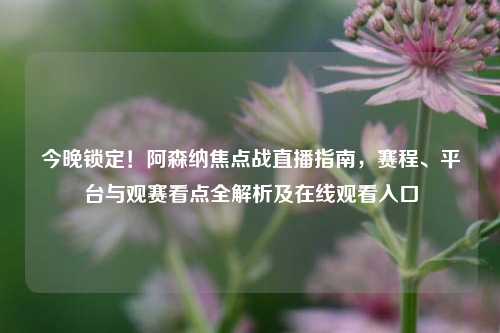 今晚锁定！阿森纳焦点战直播指南，赛程、平台与观赛看点全解析及在线观看入口