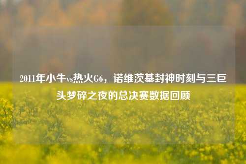 2011年小牛vs热火G6，诺维茨基封神时刻与三巨头梦碎之夜的总决赛数据回顾