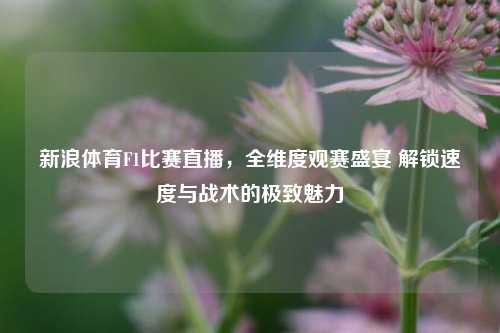 新浪体育F1比赛直播，全维度观赛盛宴 解锁速度与战术的极致魅力