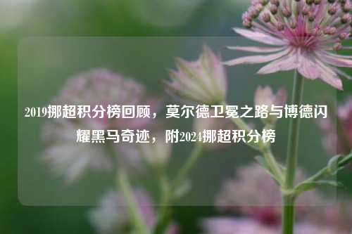 2019挪超积分榜回顾，莫尔德卫冕之路与博德闪耀黑马奇迹，附2024挪超积分榜