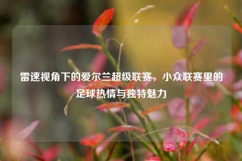 雷速视角下的爱尔兰超级联赛，小众联赛里的足球热情与独特魅力