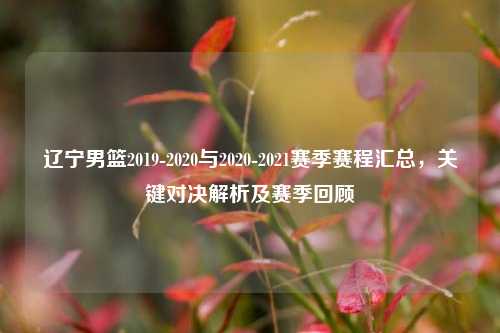 辽宁男篮2019-2020与2020-2021赛季赛程汇总，关键对决解析及赛季回顾