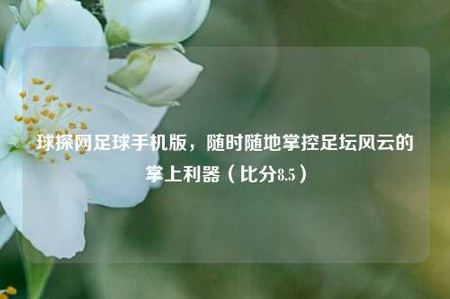 球探网足球手机版，随时随地掌控足坛风云的掌上利器（比分8.5）