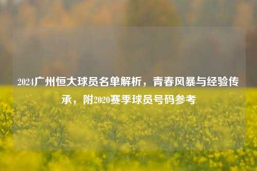 2024广州恒大球员名单解析,青春风暴与经验传承,附2020赛季球员号码参考