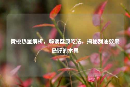 黄桃热量解析，解锁健康吃法，揭秘刮油效果更好的水果