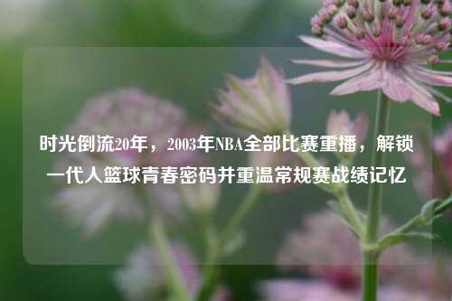 时光倒流20年，2003年NBA全部比赛重播，解锁一代人篮球青春密码并重温常规赛战绩记忆