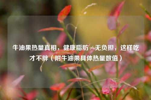 牛油果热量真相，健康脂肪≠无负担，这样吃才不胖（附牛油果具体热量数值）
