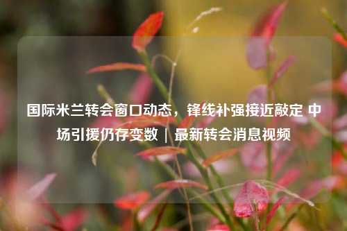 国际米兰转会窗口动态，锋线补强接近敲定 中场引援仍存变数 | 最新转会消息视频