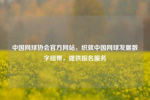 中国网球协会官方网站，织就中国网球发展数字纽带，提供报名服务