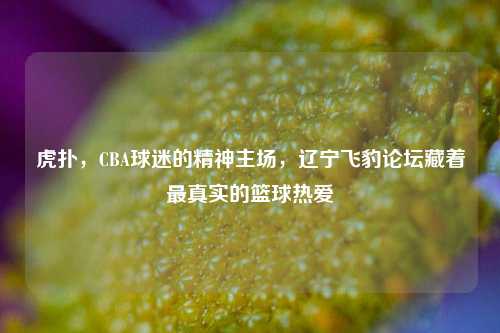 虎扑，CBA球迷的精神主场，辽宁飞豹论坛藏着最真实的篮球热爱