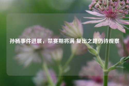 孙杨事件进展，禁赛期将满 复出之路仍待观察