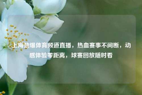 上海劲爆体育频道直播，热血赛事不间断，动感体验零距离，球赛回放随时看