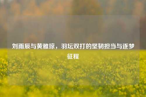 刘雨辰与黄雅琼，羽坛双打的坚韧担当与逐梦征程