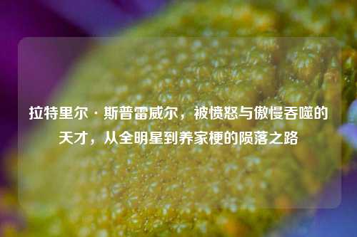 拉特里尔·斯普雷威尔，被愤怒与傲慢吞噬的天才，从全明星到养家梗的陨落之路