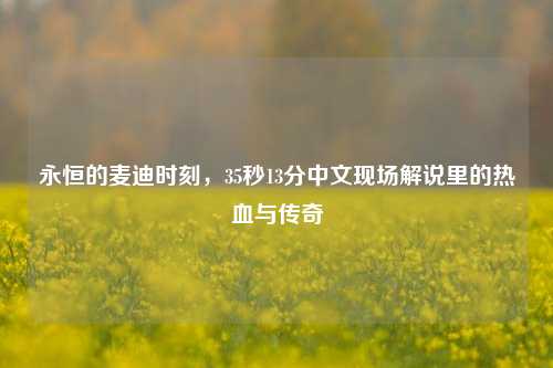 永恒的麦迪时刻，35秒13分中文现场解说里的热血与传奇
