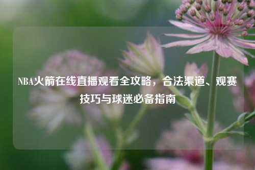 NBA火箭在线直播观看全攻略，合法渠道、观赛技巧与球迷必备指南