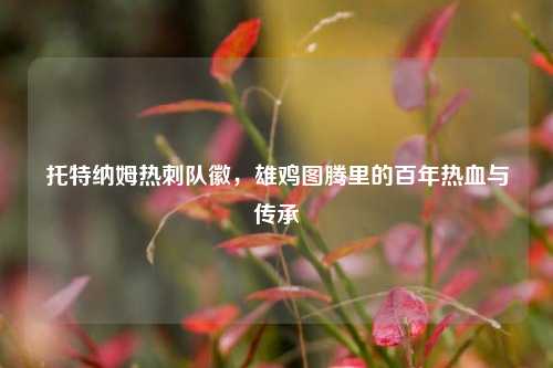 托特纳姆热刺队徽，雄鸡图腾里的百年热血与传承