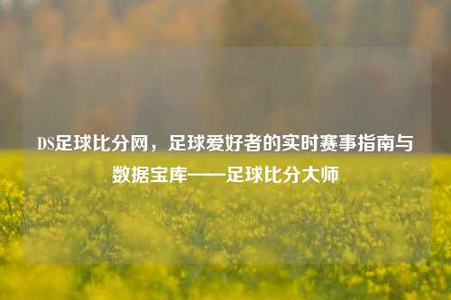 DS足球比分网，足球爱好者的实时赛事指南与数据宝库——足球比分大师