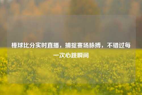 棒球比分实时直播，捕捉赛场脉搏，不错过每一次心跳瞬间