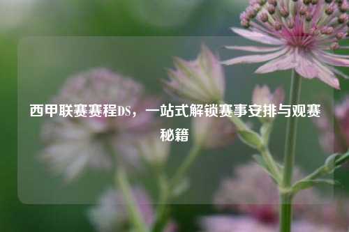 西甲联赛赛程DS，一站式解锁赛事安排与观赛秘籍
