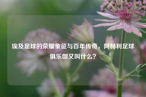 埃及足球的荣耀象征与百年传奇，阿赫利足球俱乐部又叫什么？