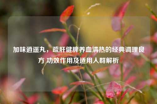 加味逍遥丸，疏肝健脾养血清热的经典调理良方 功效作用及适用人群解析