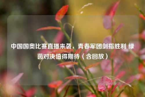 中国国奥比赛直播来袭，青春军团剑指胜利 绿茵对决值得期待（含回放）