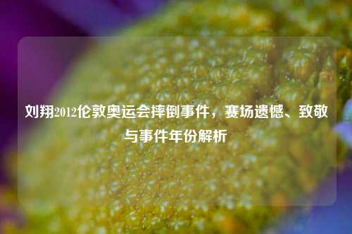 刘翔2012伦敦奥运会摔倒事件，赛场遗憾、致敬与事件年份解析