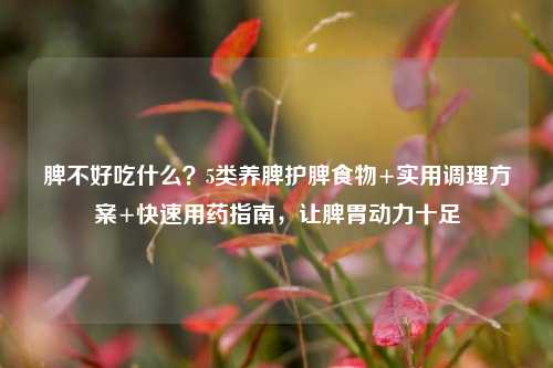 脾不好吃什么？5类养脾护脾食物+实用调理方案+快速用药指南，让脾胃动力十足
